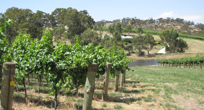 Penna Lane | Halliday Wine Companion